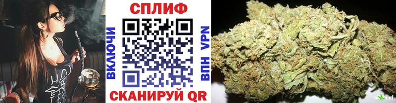 Где можно купить наркотики Александровское Гашиш  Alpha-PVP  LSD-25  Меф 