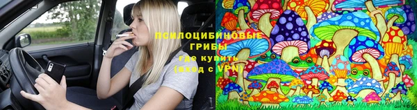 героин Алзамай