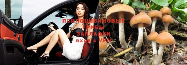 mdpv Алексеевка
