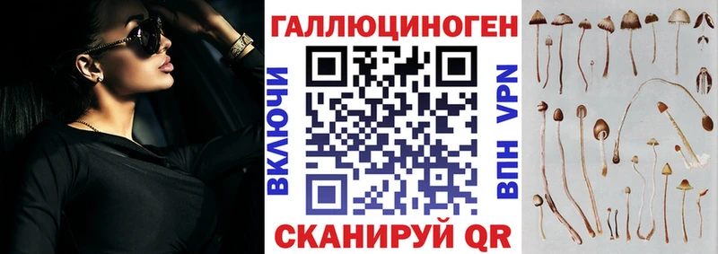 наркошоп  OMG зеркало  Галлюциногенные грибы Psilocybe  Александровское 
