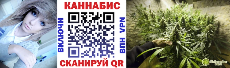 Марихуана тримм  darknet наркотические препараты  Александровское  мега  